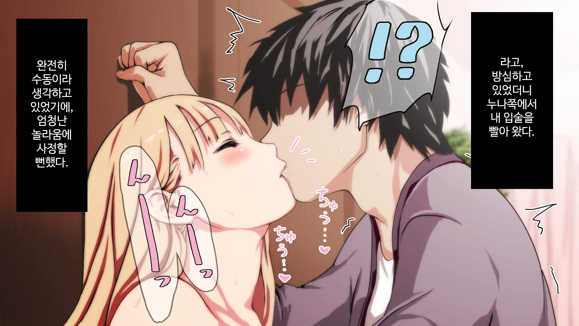 Muteikou Na Nee-San Suki Ni Shite Ii Yo...